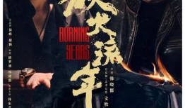 高分电视剧,揭秘高分电视剧背后的精彩故事